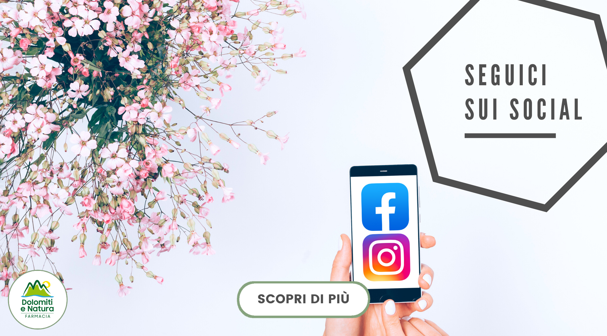 follow-facebook
