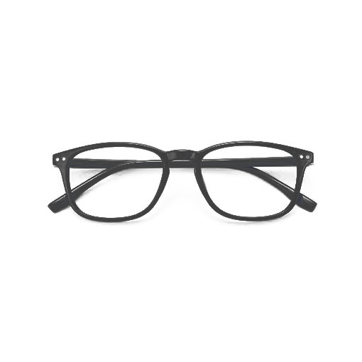 MAST Occhiale Da Lettura Twins Gold Seattle Nero +2,50 - Dolomiti e Natura