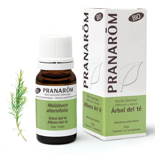 Pranarom Olio Essenziale Bio Albero Del Tè Tea Tree 10 ml - Dolomiti e Natura