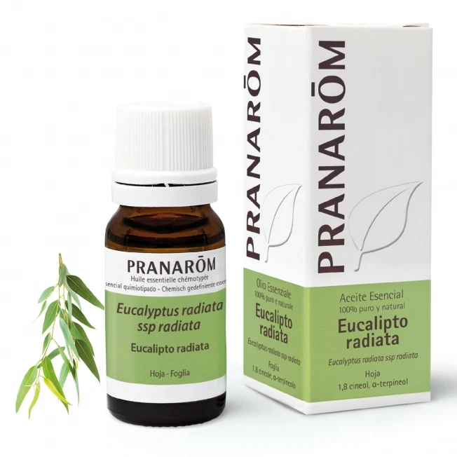 Pranarom Olio Essenziale Bio Eucalipto Radiata 10 ml - Dolomiti e Natura