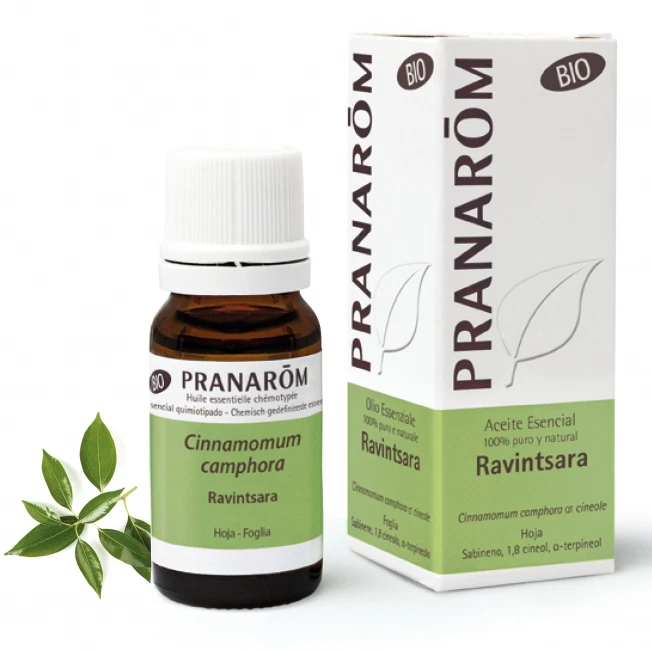 Pranarom Olio Essenziale Bio Ravintsara 10 ml - Dolomiti e Natura