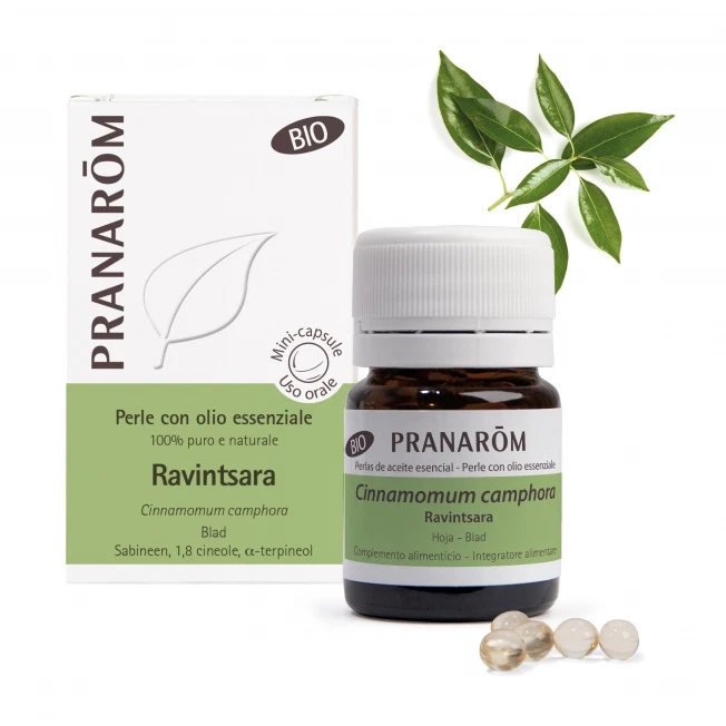 Pranarom Ravintsara Perle Con Olio Essenziale Bio 60 Perle - Dolomiti e Natura