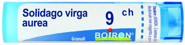 SOLIDAGO VIRGA AUREA 9CH GRANULI 4G - Dolomiti e Natura