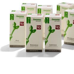AGNOCASTO MACERATO GLICERICO 100 ML - Dolomiti e Natura