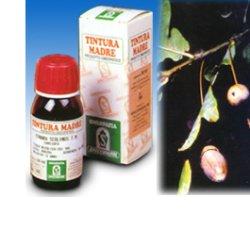 QUERCIA MARI 14 50ML TM - Dolomiti e Natura