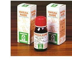 PUNGITOPO 24 50ML TM - Dolomiti e Natura