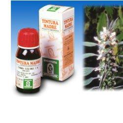 CARDIACA 16 50ML TM - Dolomiti e Natura