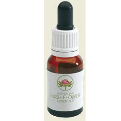 SHE OAK AUSTRALIAN GOCCE 15 ML - Dolomiti e Natura