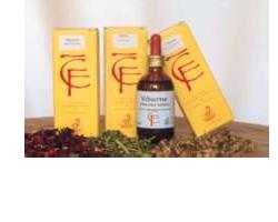 SEQUOIA GIOVANI GET 100 ML MACERATO GLICERINATO - Dolomiti e Natura
