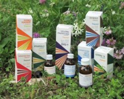 RAEMIL A1 LAVANDA COMPOSTO 100 ML - Dolomiti e Natura