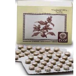 ECHINACEA 50 TAVOLETTE 812 - Dolomiti e Natura
