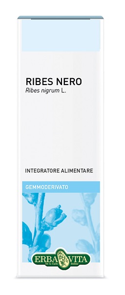 GEMMODERIVATO RIBES NERO 50 ML - Dolomiti e Natura