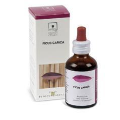 Santiveri Horti Celati Ficus Carica 50 ml - Dolomiti e Natura