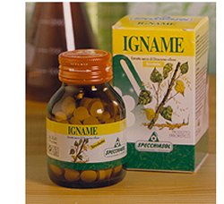 IGNAME ERBE 60TAV - Dolomiti e Natura