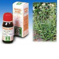 ACHILLEA 51 TINTURA MADRE 50 ML - Dolomiti e Natura