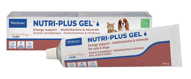 NUTRIPLUS GEL PASTA ORALE 120 G - Dolomiti e Natura