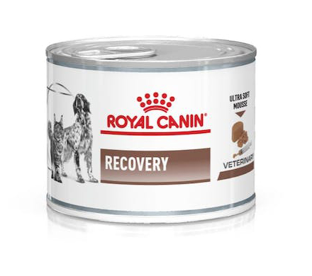 VETERINARY DIET WET DOG & CAT RECOVERY 195 G - Dolomiti e Natura