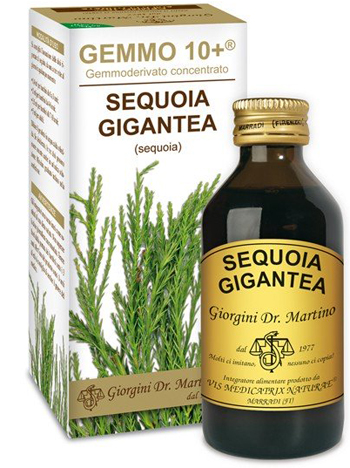 GEMMO 10+ SEQUOIA 100 ML LIQUIDO ANALCOLICO - Dolomiti e Natura