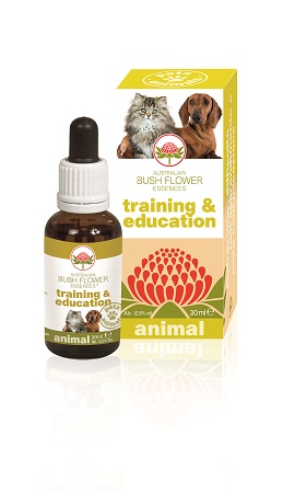 TRAINING & EDUCATION 30 ML - Dolomiti e Natura