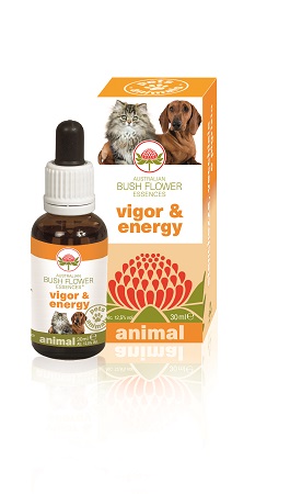 VIGOR & ENERGY 30 ML - Dolomiti e Natura