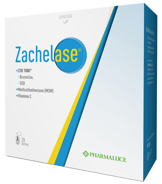 ZACHELASE 20 BUSTINE - Dolomiti e Natura