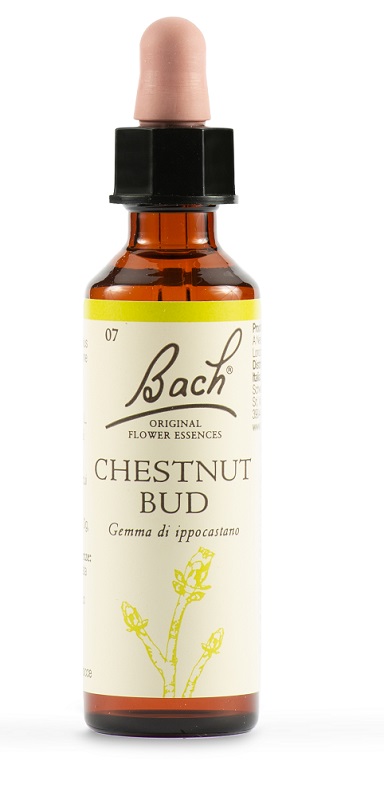 CHESTNUT BUD BACH ORIG 20 ML - Dolomiti e Natura