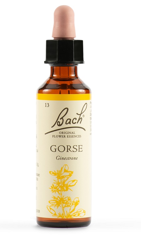 GORSE BACH ORIG 20 ML - Dolomiti e Natura