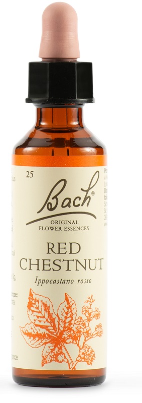 RED CHESTNUT BACH ORIG 20 ML - Dolomiti e Natura