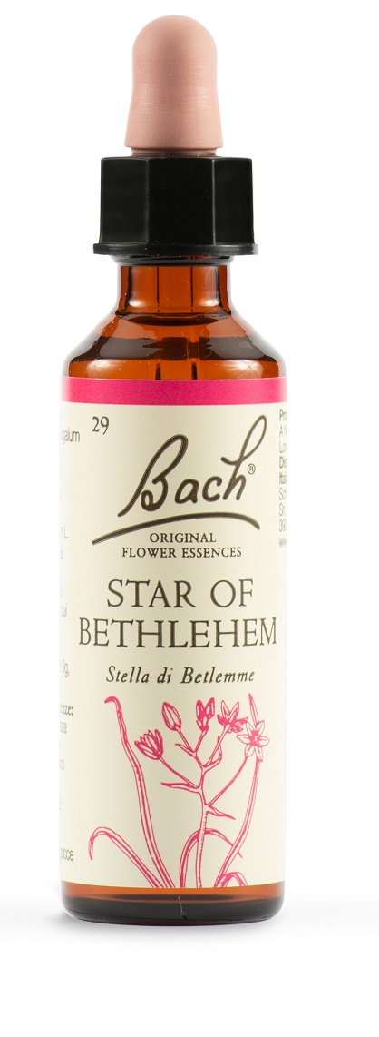 STAR OF BETHL ORIG 20 ML - Dolomiti e Natura