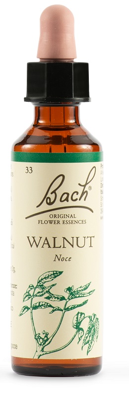 WALNUT BACH ORIG 20 ML - Dolomiti e Natura