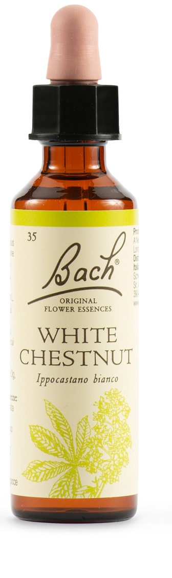 WHITE CHEST BACH ORIG 20 ML - Dolomiti e Natura