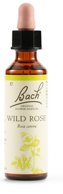 WILD ROSE BACH ORIG 20 ML - Dolomiti e Natura