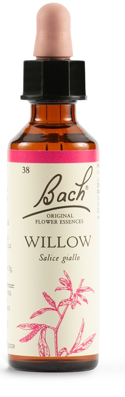 WILLOW BACH ORIG 20 ML - Dolomiti e Natura