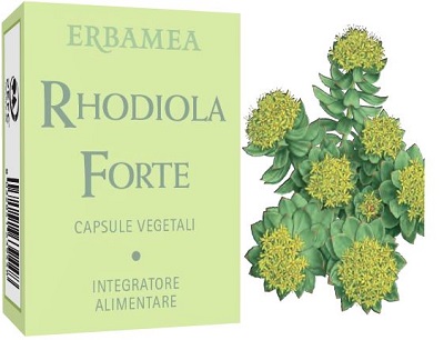 RHODIOLA FORTE 24 CAPSULE - Dolomiti e Natura