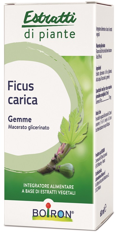 Boiron Ficus Carica Gemme Macerato Glicerinato 60 ml - Dolomiti e Natura