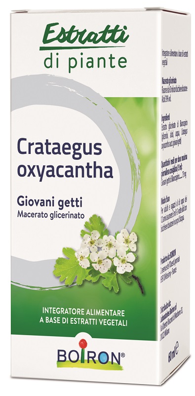 CRATAEGUS BOIRON MACERATO GLICERICO 60 ML - Dolomiti e Natura