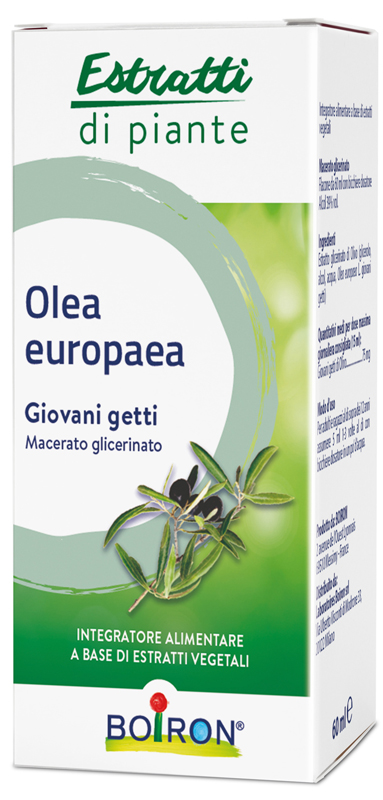 OLEA EUROPAEA BOIRON MACERATO GLICERICO 60 ML - Dolomiti e Natura